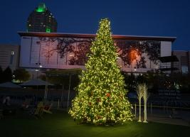 Christmas tree at THE RINK
