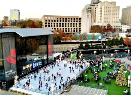 an aerial photo of THE RINK